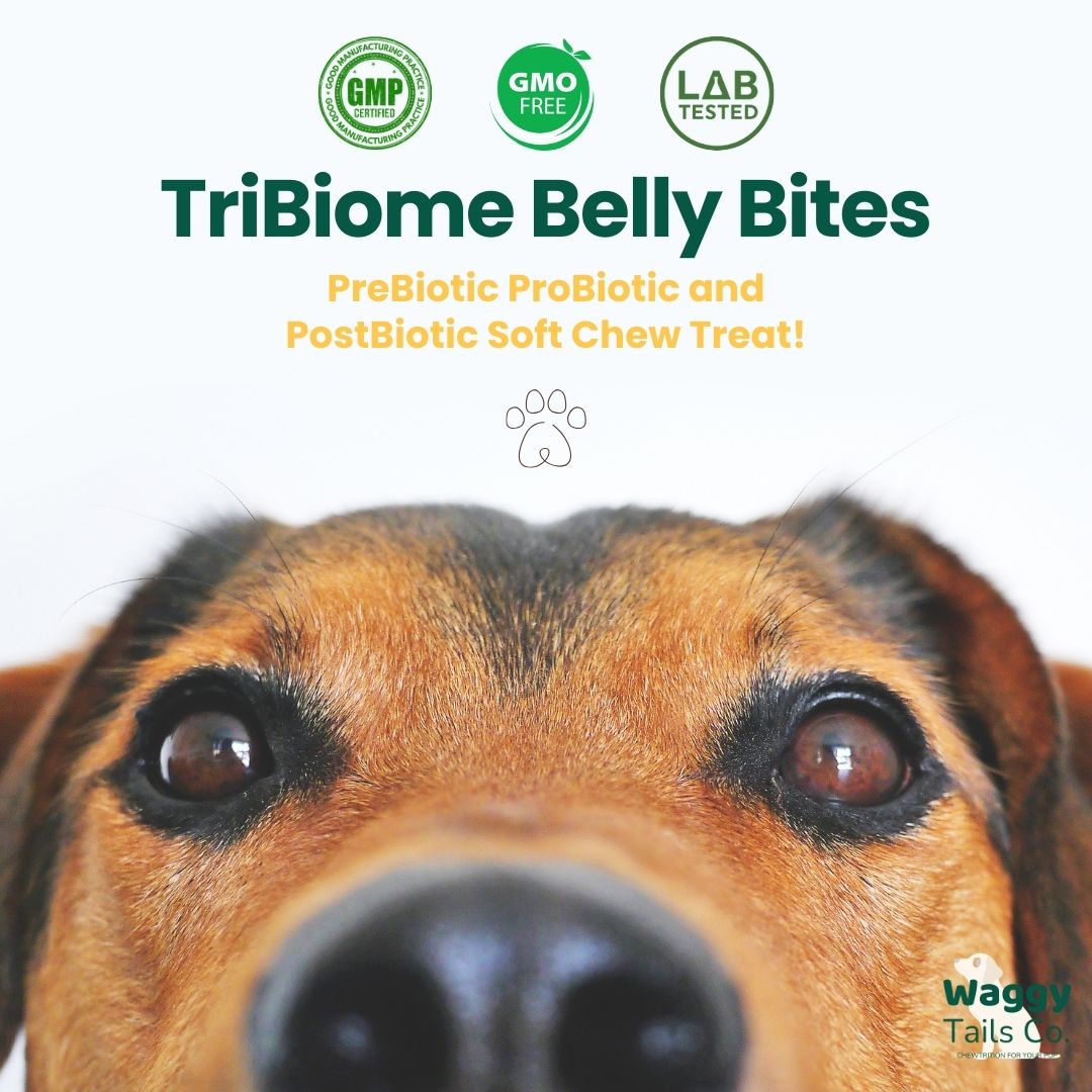 Waggy Tails Co: Tribiome Belly Bites™