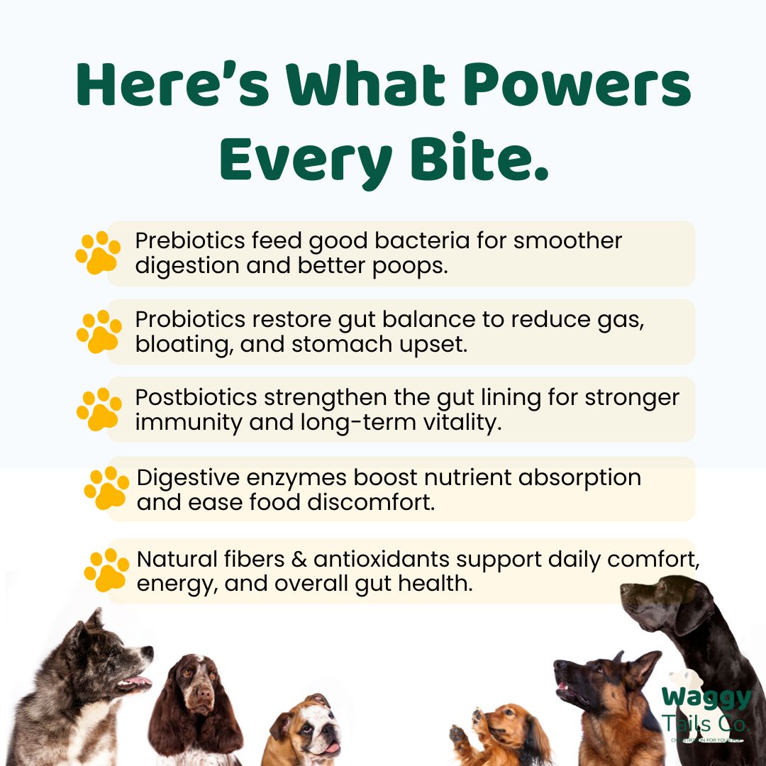 Waggy Tails Co: Tribiome Belly Bites™